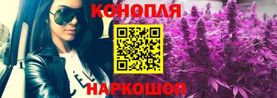 спиды Новозыбков