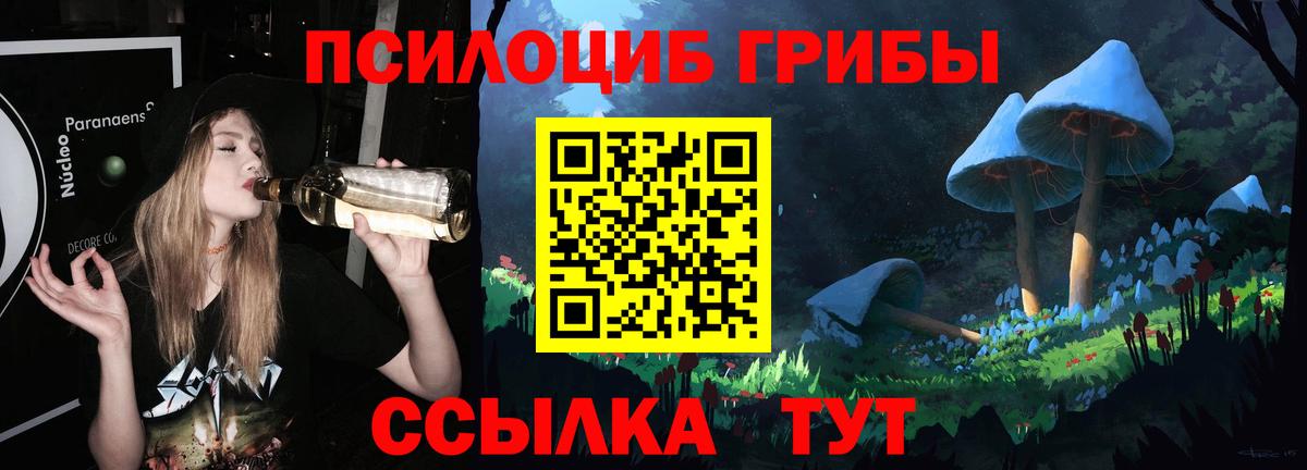 Галлюциногенные грибы Cubensis  Вход с VPN  Обнинск  Псилоцибиновые грибы ЛСД 